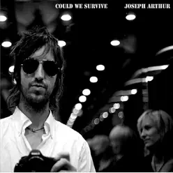 Could We Survive - Joseph Arthur