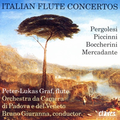 Flute Concerto in E Minor: III. Allegro vivace scherzando - Bruno ...