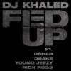 Fed Up (feat. Usher, Drake, Rick Ross & Young Jeezy) - Single, 2009