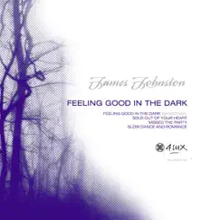 Feeling Good In the Dark - EP by James Johnston album reviews, ratings, credits
