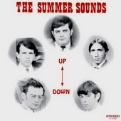 The Summer Sounds - The Leaves Are Turning Brown