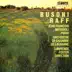 Busoni & Raff: Piano Concertos album cover