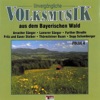 Unvergängliche Volksmusik Aus Dem Bayerischen Wald - Folge 5