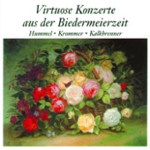 Virtuose Konzerte Der Biedermeierzeit artwork