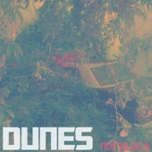 Dunes - Lonely Palm