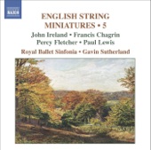 English String Miniatures, Vol. 5 artwork