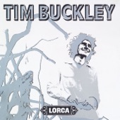 Tim Buckley - I Had A Talk With My Woman