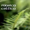 Musica Celtica, Musica Celtica Irlandese con Arpa Celtica