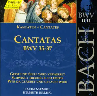 Bach, J.S.: Cantatas, Bwv 35-37 by Julia Hamari, Helmuth Rilling, Stuttgart Bach Collegium, Peter Schreier, Arleen Auger, Gabriele Schreckenbach, Walter Heldwein, Stuttgart Gachinger Kantorei, Adalbert Kraus, Philippe Huttenlocher & Carolyn Watkinson album reviews, ratings, credits