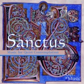 Music For Quiet Contemplation (Sanctus) artwork