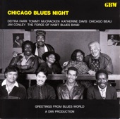 Chicago Blues Night artwork