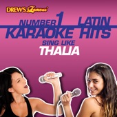 No No No (As Made Famous By Thalia & Aventura) [Karaoke Version] artwork