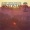 Prague Chamber Orchestra / Allegro (fr. Sinf. in G) / MYSLIVECEK