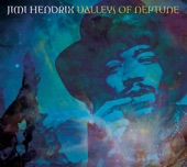 Jimi Hendrix - Hear My Train A Comin'