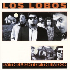 BY THE LIGHT OF THE MOON cover art