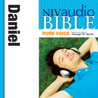 Zondervan Bibles - Pure Voice Audio Bible - New International Version, NIV (Narrated by George W. Sarris): (24) Daniel (Unabridged) artwork