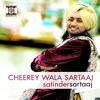 Satinder Sartaaj - Aadmi