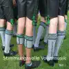 Stimmungsvolle Volksmusik - Teil 1 album lyrics, reviews, download