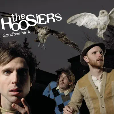 Goodbye Mr. A / Worried About Ray - Single - The Hoosiers