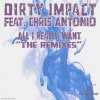 All I Really Want (Remix Edition) [feat. Chris Antonio] - Single, 2008