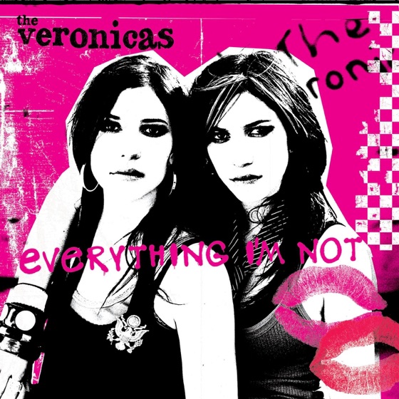 Cover artwork for Everything I'm Not (Jason Nevins Remix Edit)