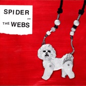 Spider and the Webs - Mister Hypnotist