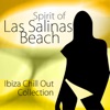 Spirit of las Salinas Beach Vol.1 (Ibiza Chill Out Collection)