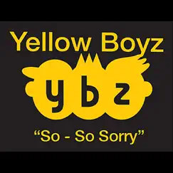 So-So Sorry - Single by Yellow Boyz album reviews, ratings, credits