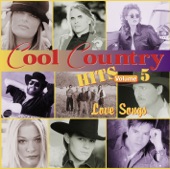 Cool Country Hits, Vol. 5 artwork