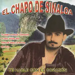 Te Hable con El Corazon - El Chapo De Sinaloa