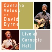 Live At Carnegie Hall artwork