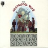 The Year of the Great Leap Sideways