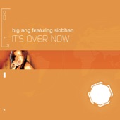 It's Over Now (Bonus Track Version) [Remixes] [feat. Siobhan] - Single artwork