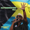 K.B.'s Bahamian Hit's, Vol. 4 (Rake-N-Scrape Fool) - K.B.