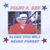 Blues You Will Never Forget artwork