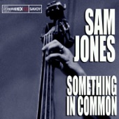 Sam Jones - Seven Minds