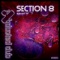 Boulevard - Section 8 lyrics