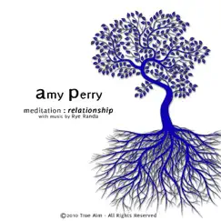 Meditation : Relationship by Amy Perry album reviews, ratings, credits