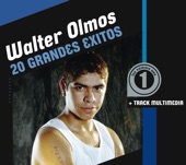 Walter Olmos: 20 Grandes Éxitos artwork