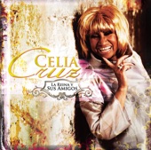 Los Fabulosos Cadillacs - Vasos Vacios (Con Celia Cruz), 1993