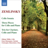 Christopher Hinterhuber, Gavle Symphony Orchestra & Uwe Grodd - Trio for Clarinet, Cello and Piano in D Minor, Op. 3: III. Allegro