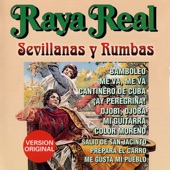 Sevillanas y Rumbas artwork