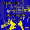 A Day In the Life (2009 Mixes) - Single, 2009