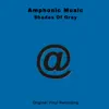Shades Of Gray (Amps 1010) album lyrics, reviews, download