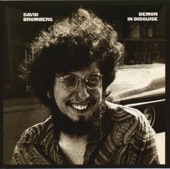 David Bromberg - Sharon