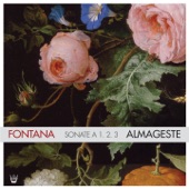 Fontana : Sonate a 1, 2, 3 artwork