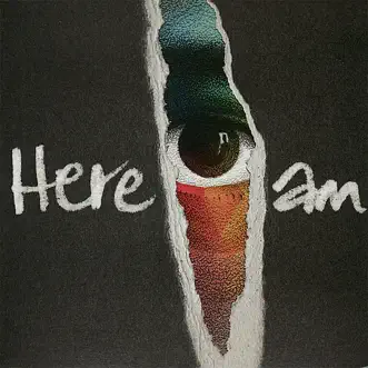 Here I Am by Groundation album reviews, ratings, credits