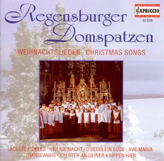 Christmas Oratorio, BWV 248: Ich steh an deiner Krippen hier by Regensburg Cathedral Choir & Roland Büchner song reviws