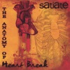 Satiate - Church of the Poison Mind