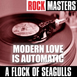 A Flock of Seagulls - It's Not Me Talking
